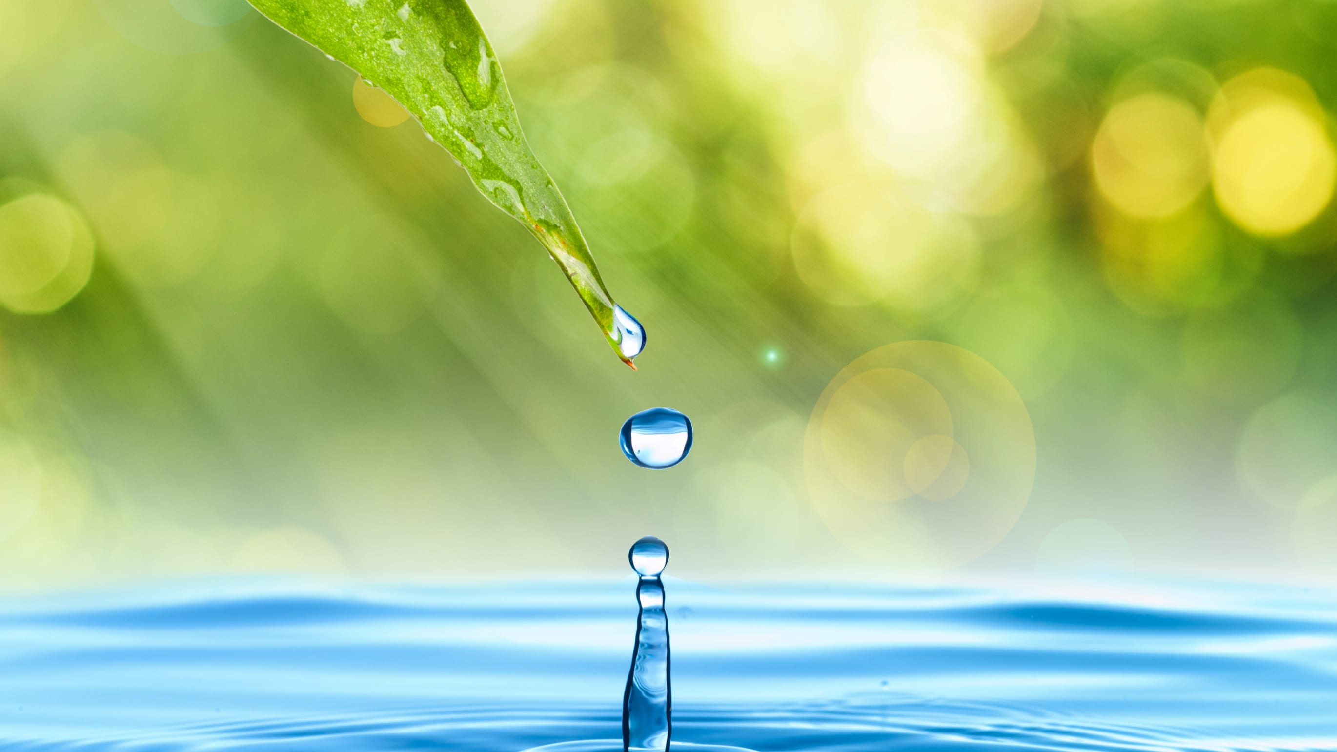 stock image of a water droplet